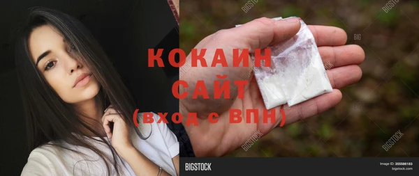соль курить ск Каменногорск