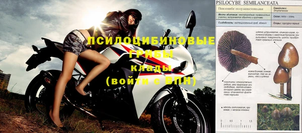 соль курить ск Каменногорск
