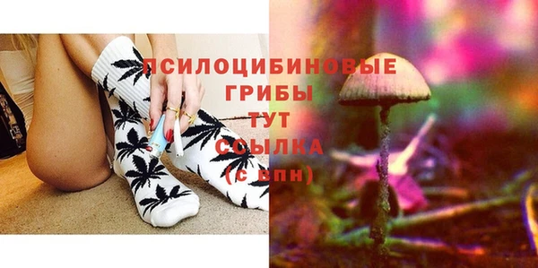 COCAINE Каменка