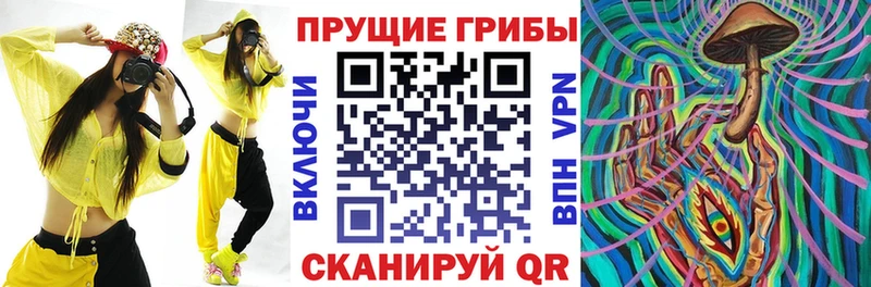 Галлюциногенные грибы GOLDEN TEACHER  Кадников 
