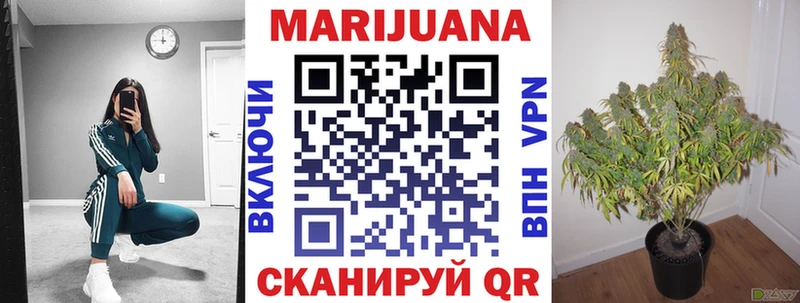 Бошки марихуана сатива  Кадников 